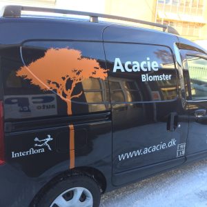 Acacie Blomster bildekoration lavet af skiltehus.dk